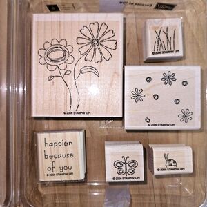 Stampin Up - BECAUSE OF YOU - Wood Mounted Stamp Set of 6 in plasric caseStamp
